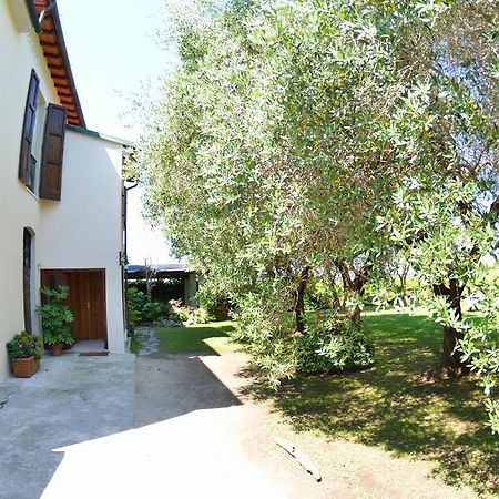 Casa Romana فياريجيو المظهر الخارجي الصورة