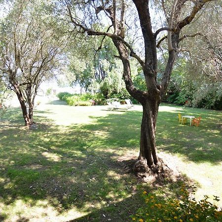 Casa Romana فياريجيو المظهر الخارجي الصورة
