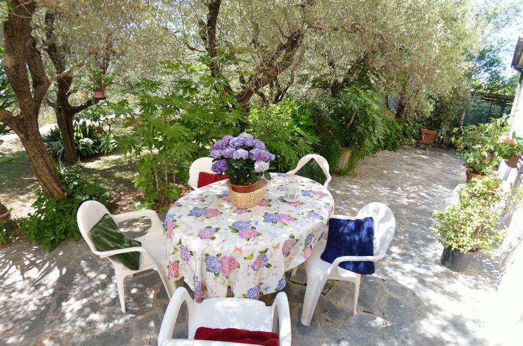 Casa Romana فياريجيو المظهر الخارجي الصورة