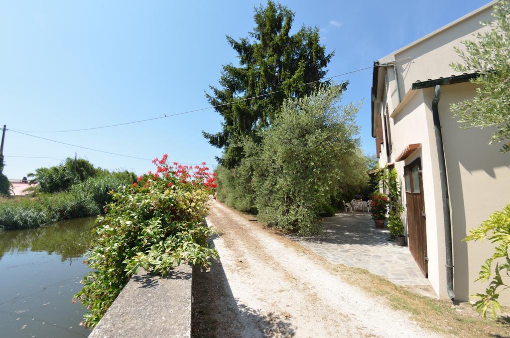 Casa Romana فياريجيو المظهر الخارجي الصورة