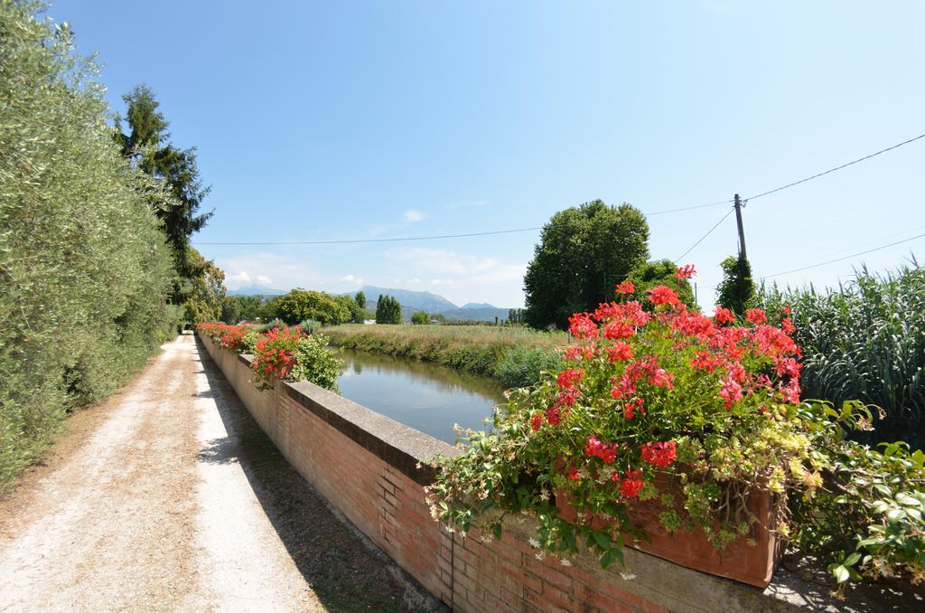 Casa Romana فياريجيو المظهر الخارجي الصورة