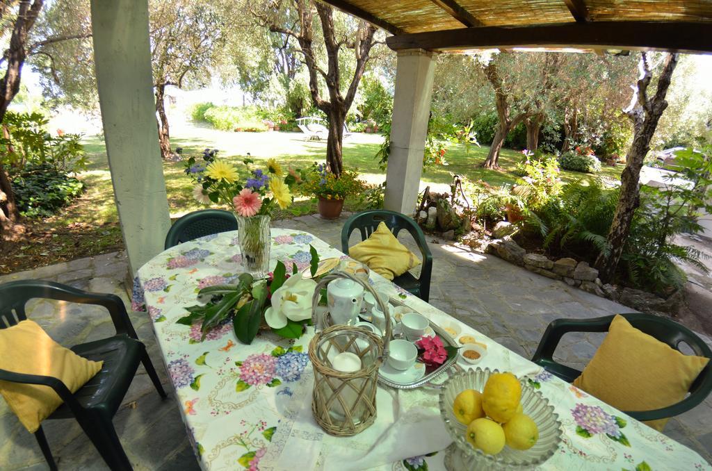 Casa Romana فياريجيو المظهر الخارجي الصورة