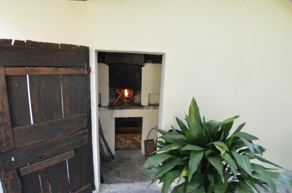 Casa Romana فياريجيو المظهر الخارجي الصورة